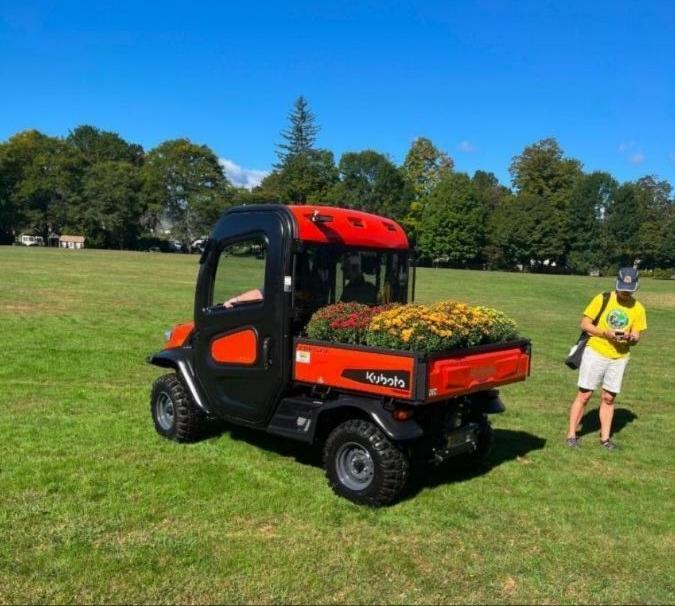 Barb checking the cart